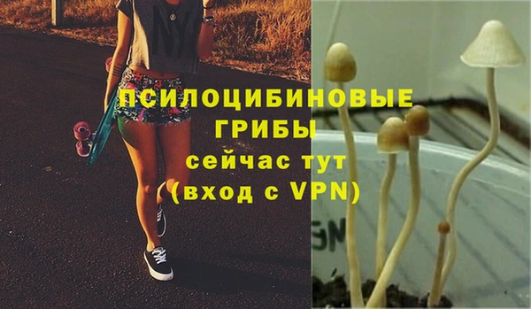амф Верея