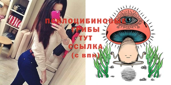 ALPHA PVP Верхний Тагил