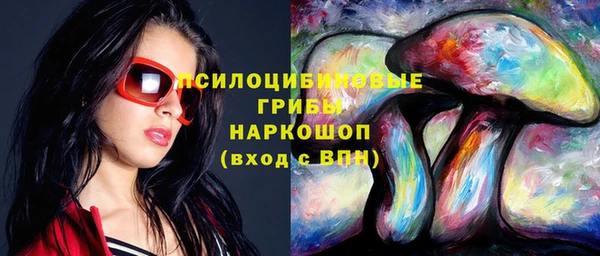 амф Верея