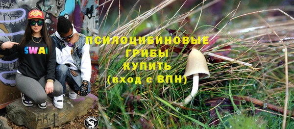 амф Верея