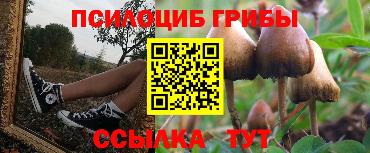 Галлюциногенные грибы мухоморы  Вход с VPN  Псилоцибиновые грибы мухоморы  Тула 