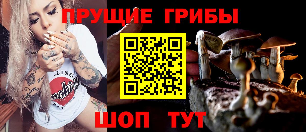 Галлюциногенные грибы мухоморы Тула